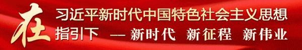 居然可以这样（龙舟赛视频2023外国人参加）活动筹备，