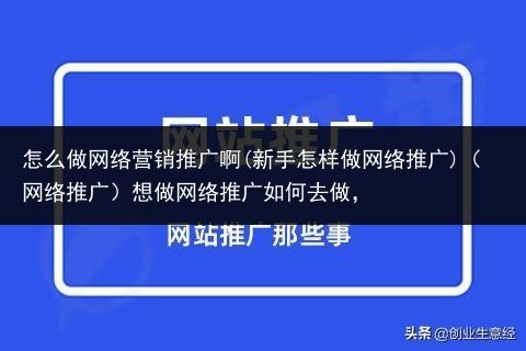 怎么做网络营销推广啊(新手怎样做网络推